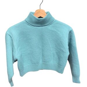 NWOT Aritzia Merino Wool Sweater